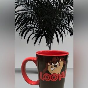 Warner Brothers Mug looney toon